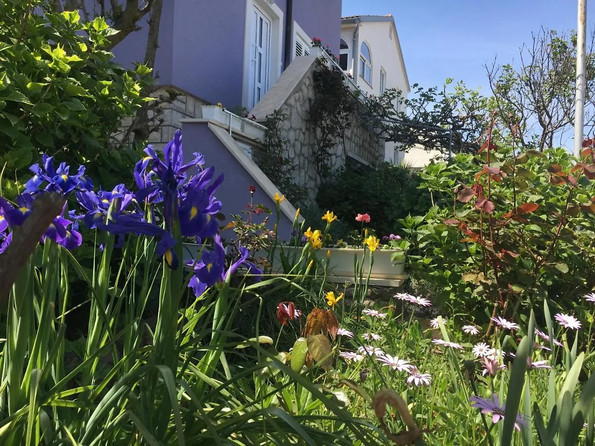 Villa Millefiori - Apartments Mali Losinj 0*,  Croatia