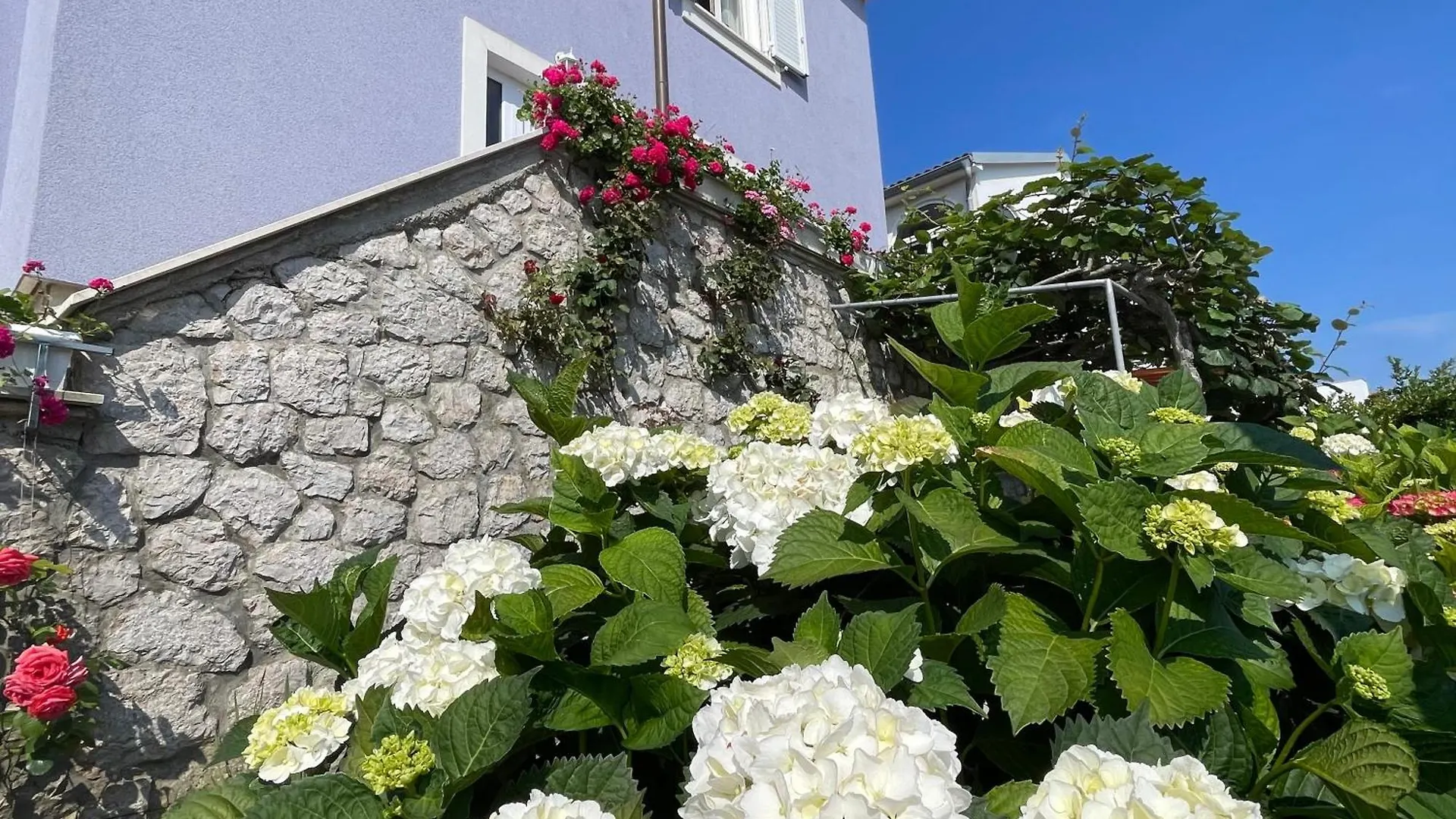 Villa Millefiori - Apartments Мали-Лошинь 0*,  Хорватия