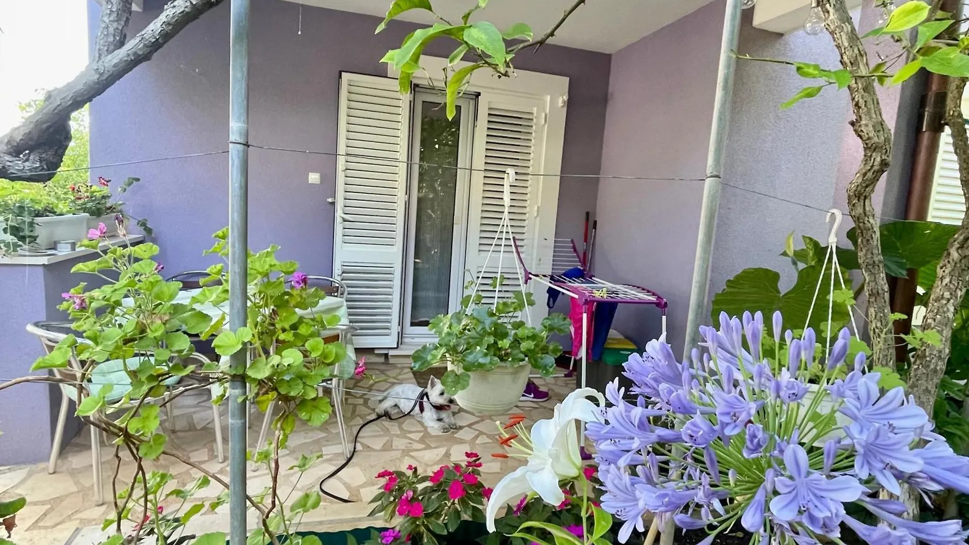 Villa Millefiori - Apartments Мали-Лошинь 0*,